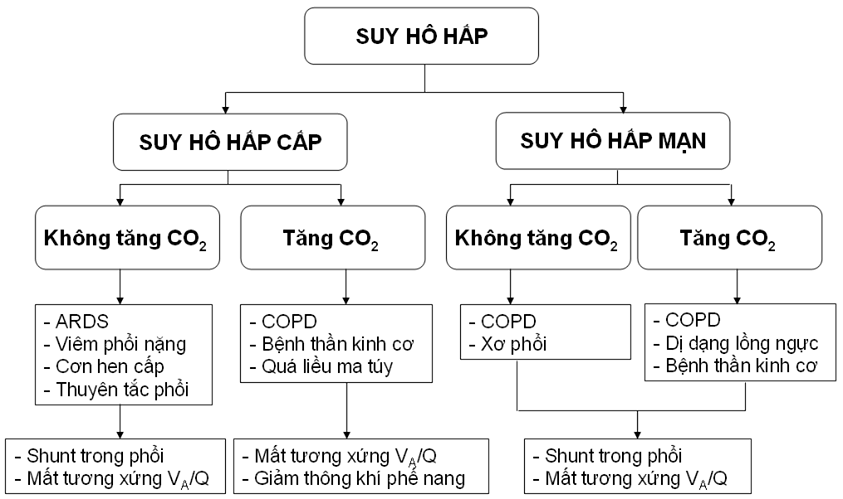 Suy hô hấp cần làm gì? Hướng dẫn nhận biết, xử trí và phòng ngừa hiệu quả